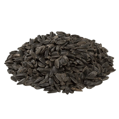 Feathered Friend 14421 Black Oil Sunflower Seed Wild Bird Food, Straight, Seed, 20 lb Bag