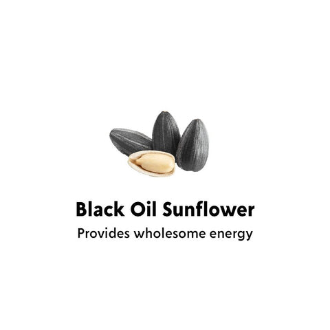 Feathered Friend 14422 Black Oil Sunflower Seed Wild Bird Food, Straight, Seed, 40 lb Bag