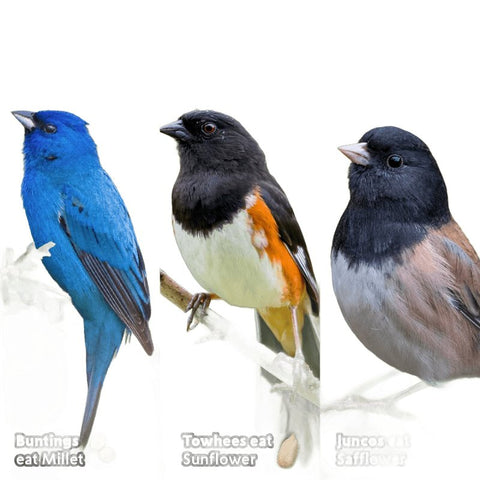Feathered Friend 14383 Safflower Seed Wild Bird Food, 26 oz, Seed Cake