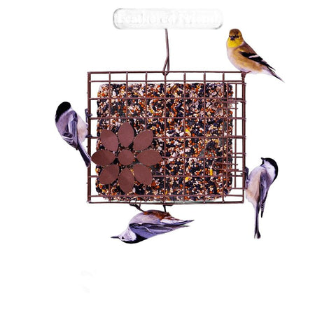 Feathered Friend 14383 Safflower Seed Wild Bird Food, 26 oz, Seed Cake
