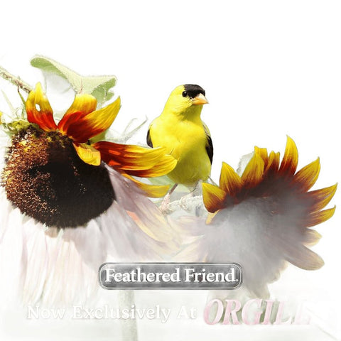 Feathered Friend 14383 Safflower Seed Wild Bird Food, 26 oz, Seed Cake