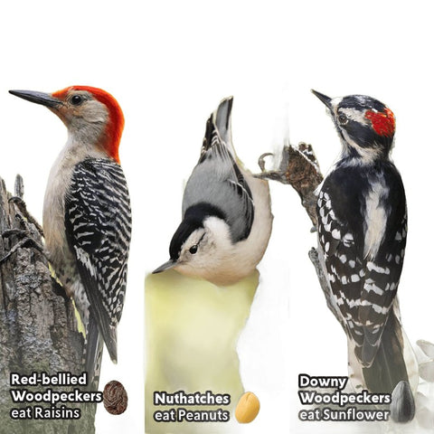 Feathered Friend 14384 Mixed Nuts Wild Bird Food, 24 oz, Seed Cake