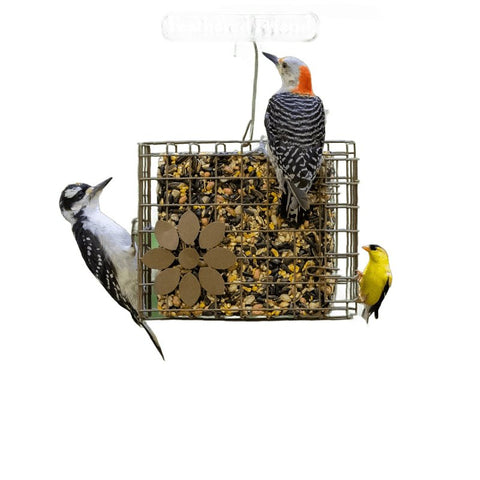 Feathered Friend 14384 Mixed Nuts Wild Bird Food, 24 oz, Seed Cake