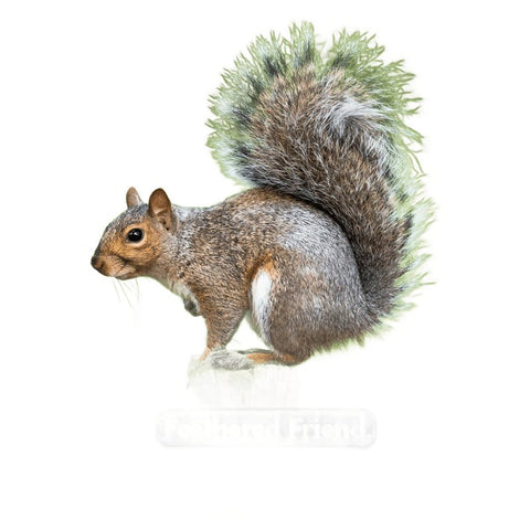 Feathered Friend 14369 Shelled Peanuts Wild Bird Food, 3 lb, Bag