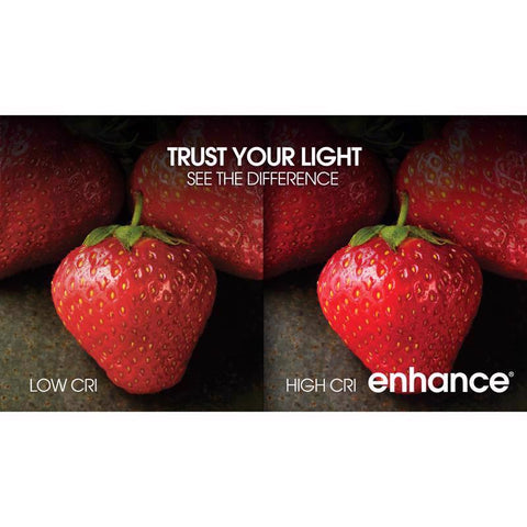 Feit Enhance A19 E26 (Medium) LED Bulb Bright White 60 Watt Equivalence 2 pk