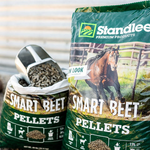 Standlee 17003010100 Smart Beet Supplement, Pellet, 40 lb