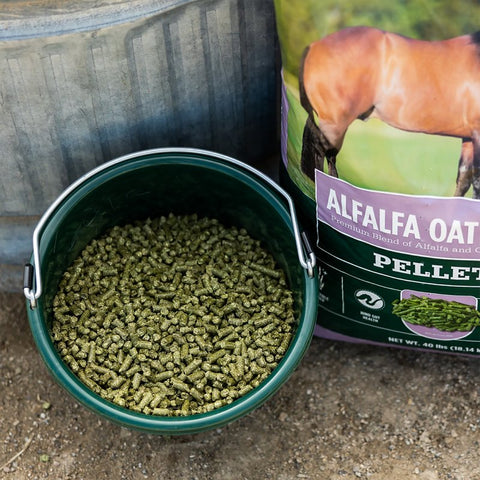 Standlee 1975-30101-0-0 Horse Supplement, Alfalfa Oat Grass, Senior Lifestage, Pellets, 40 lb Bag
