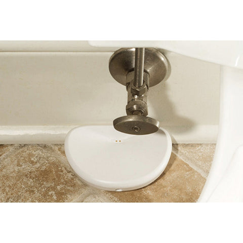 Guardian Leak Prevention System