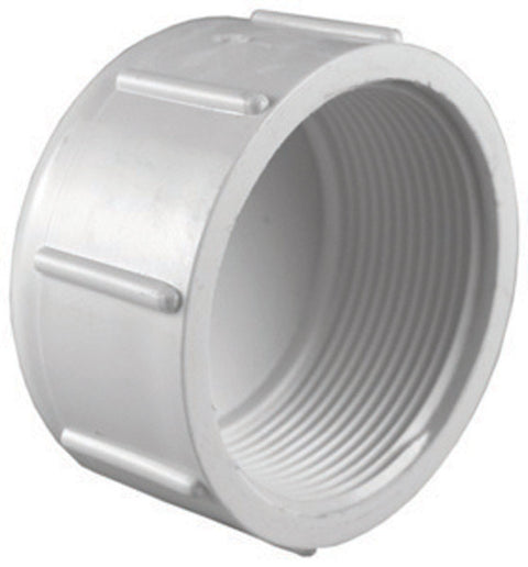Charlotte Pipe 3 in. Dia. FPT Schedule 40 PVC Cap