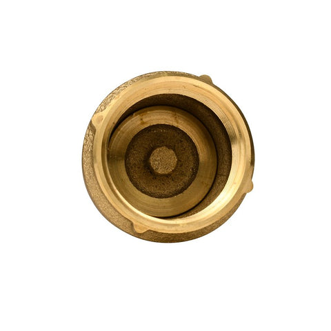 Water Source TFV-125NL Foot Valve, 1-1/4 in Connection, 200 psi Pressure, Brass Body