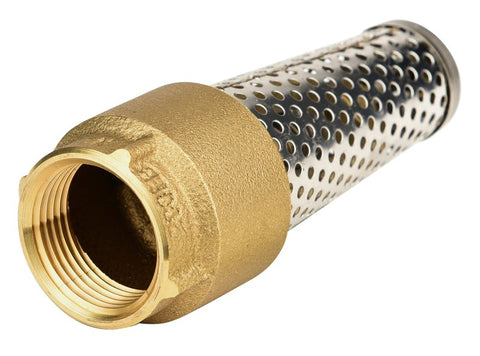 FOOT VALVE BRASS 1IN