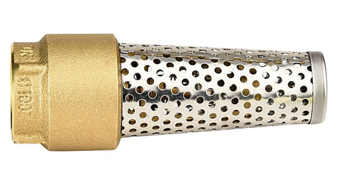 FOOT VALVE BRASS 1IN