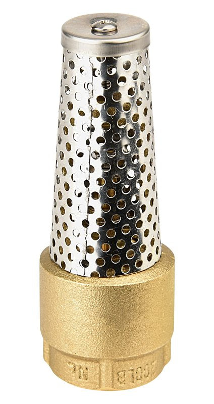 FOOT VALVE BRASS 1IN