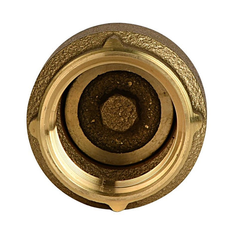 FOOT VALVE BRASS 1IN
