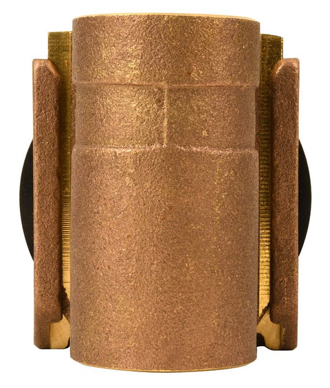 Water Source PA100NL Pitless Adapter, 1 in, FNPT, Brass