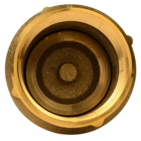 Water Source CV-150NL Check Valve, 1-1/2 in, 200 psi Pressure, Brass Body