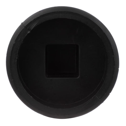 Charlotte Pipe 2-1/2 in. MPT X 2-1/2 in. D MPT ABS Plug