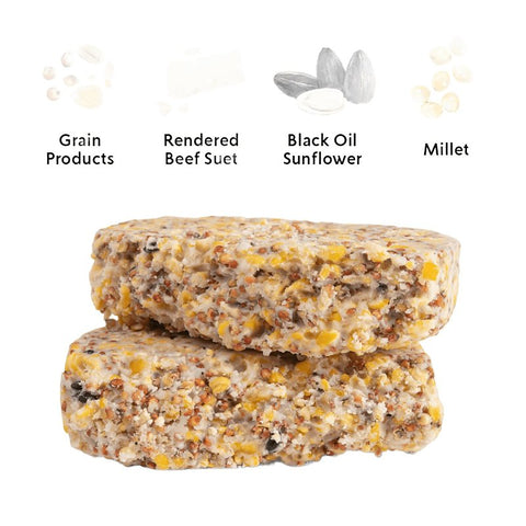 Audubon Park 13768 Sunflower Seed Orange Flavored Suet, 11.25 oz, Box, Pack of 12