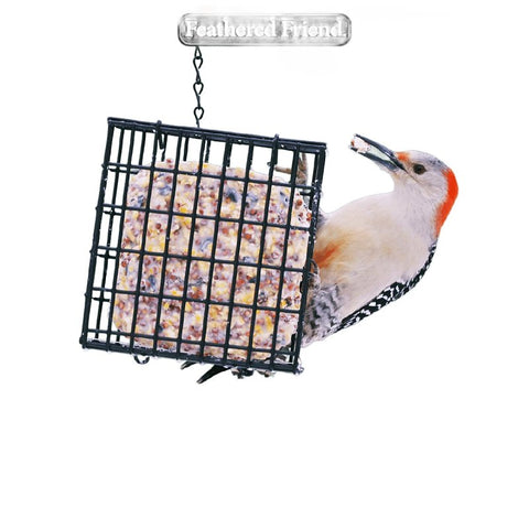 Audubon Park 13768 Sunflower Seed Orange Flavored Suet, 11.25 oz, Box, Pack of 12
