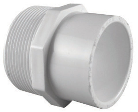 Charlotte Pipe 3/4 in. Dia. x 1/2 in. Dia. MPT To Slip Pipe Adapter