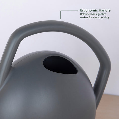 Bloem RWC2-908 Watering Can, 2 gal Can, Rosette Spout, Polypropylene, Gray