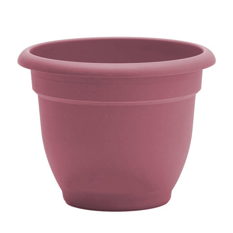 Bloem Ariana Series AP0634 Planter, 6 in Dia, 5-1/4 in H, 6-1/2 in W, 6-1/2 in D, Round, Elegant, Traditional Design, Pack of 10
