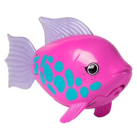 SwimWays 6071884 Rainbow Reef Fish Dive Pool Toy, ABS