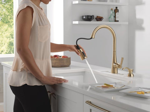 Delta Boyd Series 19893Z-CZSD-DST Pull-Down Kitchen Faucet with ShieldSpray Technology, 1.8 gpm, 1-Handle, Zinc