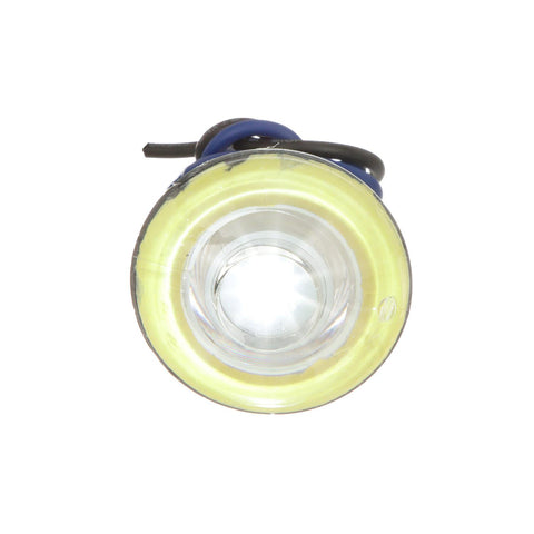 Seachoice LED Baitwell/Courtesy Light