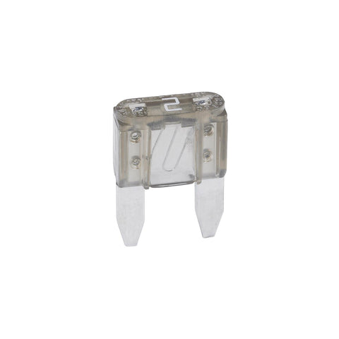 Trailering Clips