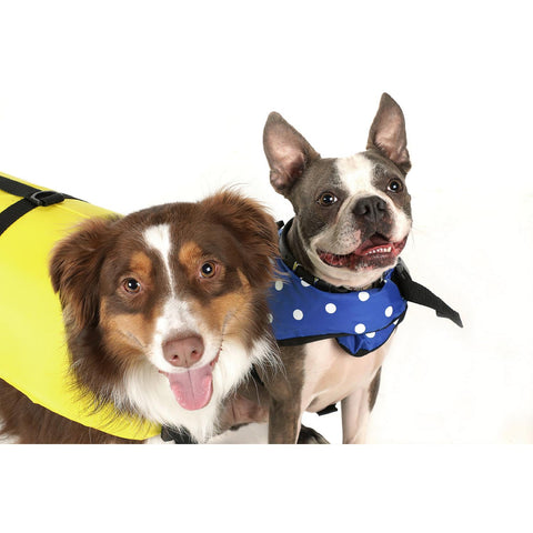Seachoice 86310 Dog Life Vest - Yellow, XS