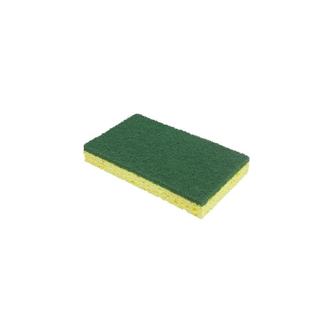 Seachoice Poly Swim Platform With Stainless Steel Rails