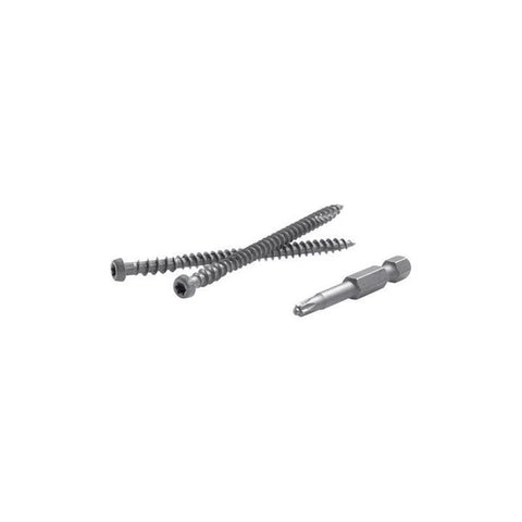 FastenMaster TrapEase No. 20 X 2-1/2 in. L Gravel Path Torx Ttap Star Head Composite Deck Screws 75