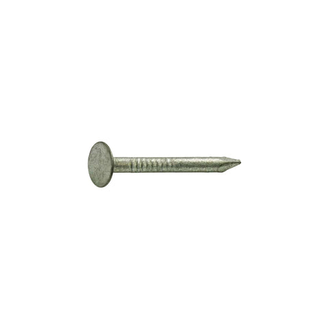 Grip-Rite 1-3/4 in. Roofing Hot-Dipped Galvanized Steel Nail Flat Head 1 lb, Pack of 12