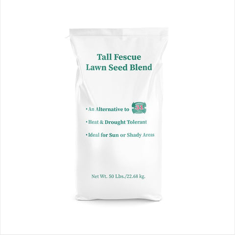 Barenbrug 14074 Grass Seed, 50 lb Bag, 10,000 sq-ft Coverage Area, Tall Fescue