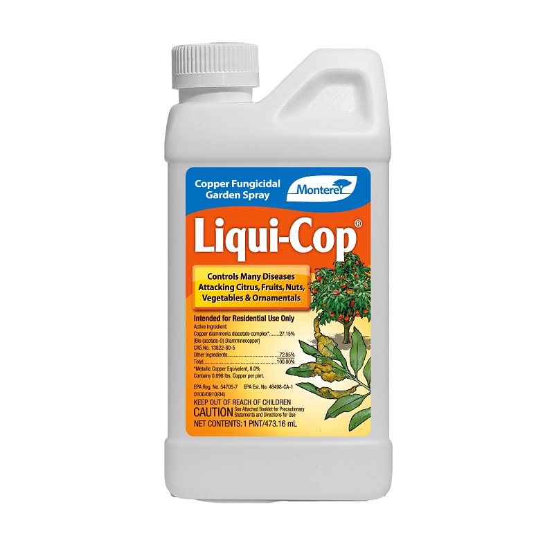 Liqui-Cop LG3104 Fungicide, Liquid, Dark Blue, 1 pt – Shell Lumber and ...