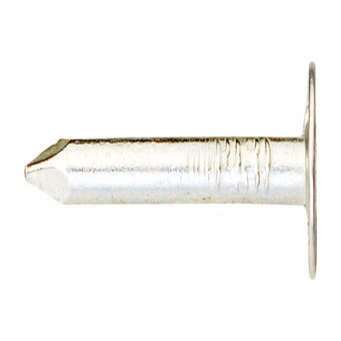 Ace 7/8 in. Roofing Electro-Galvanized Steel Nail Large Head 1 lb