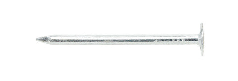 Ace 2 in. Roofing Electro-Galvanized Steel Nail Large Head 5 lb
