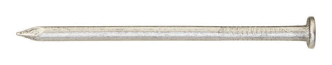 Ace 6D 2 in. Framing Bright Steel Nail Flat Head 1 lb