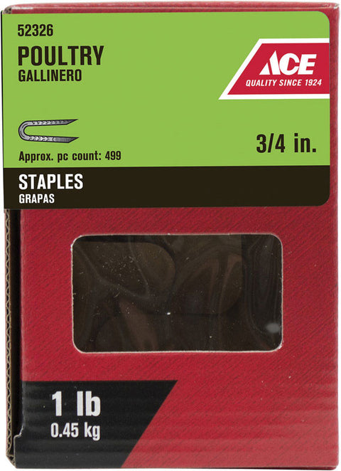 Ace 3/4 in. Galvanized Poultry Staples 1 lb.