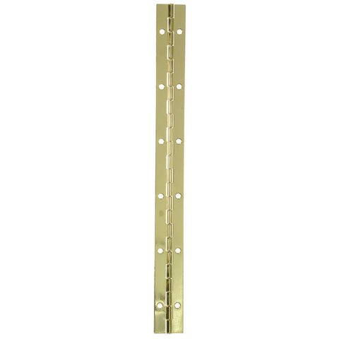 Ace 1 in. W x 12 in. L Continuous Hinge Bright Brass