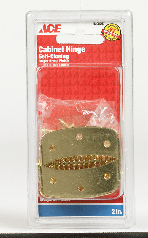 Ace 2 in. Dia. x 2 in. L Bright Brass Cabinet Hinge – Shell Lumber and ...