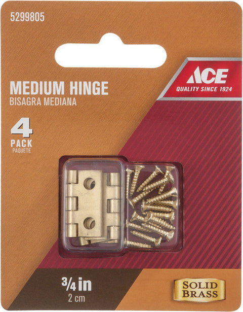 Ace 3/4 in. L Medium Hinge Polished Brass