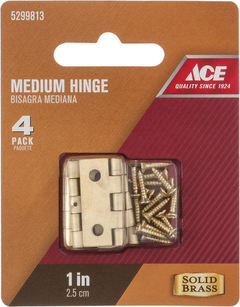 Ace 1 in. L Medium Hinge Polished Brass