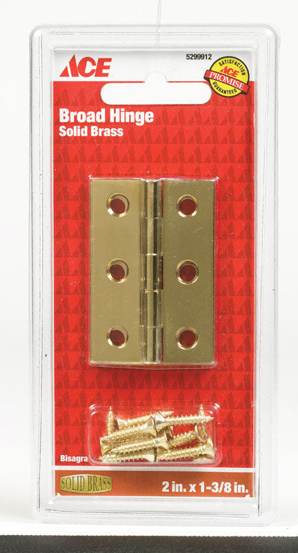 Ace 2 in. W x 1-3/8 in. L Broad Hinge Polished Brass