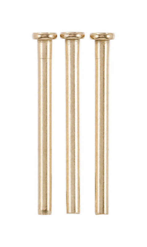Ace Brass Hinge Pin 3-1/2 in. L Satin Brass 3 pk