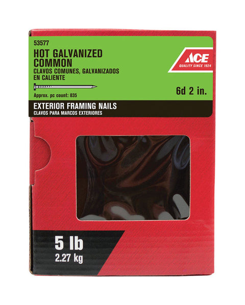Ace Flat 2 in. L Common Nail Smooth Hot-Dipped Galvanized Steel 5 lb.