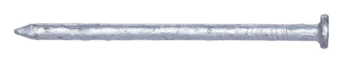 Pro Fit Flat 3 in. L Common Nail Smooth Hot-Dipped Galvanized Steel 9 Ga. 50 lb.