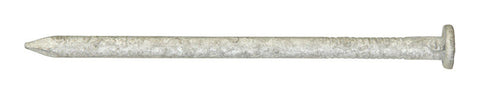 Ace 8D 2-1/2 in. Common Hot-Dipped Galvanized Steel Nail Flat Head 1 lb