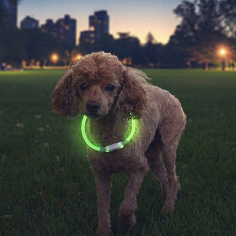 LED SAFETY NECKLACE RECHRG GRN
